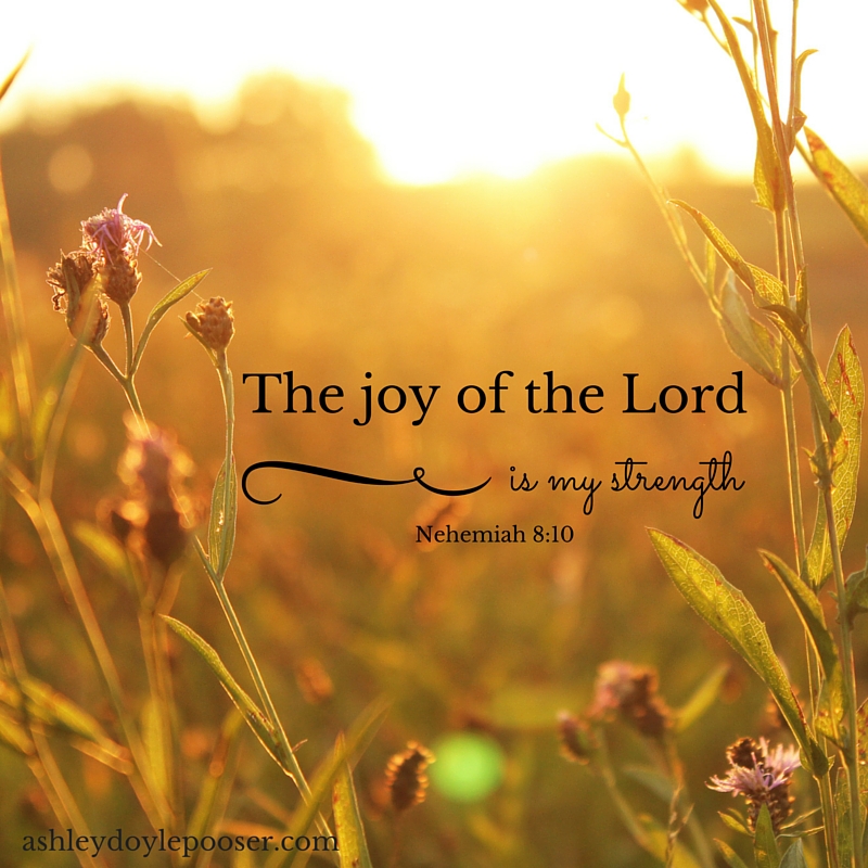 Image result for the joy of the lord